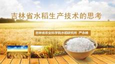 吉林省水稻生产技术的思考-吉林省水稻所严永峰
