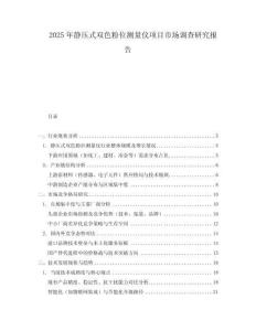 2025年静压式双色粉位测量仪项目市场调查研究报告