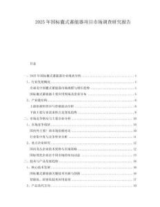 2025年国标囊式蓄能器项目市场调查研究报告