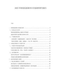 2025年铬雾洗涤器项目市场调查研究报告