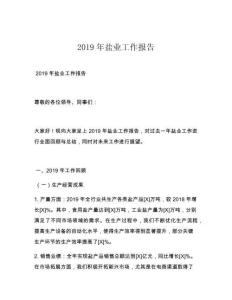 2019年盐业工作报告