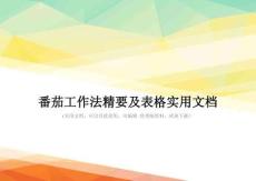 番茄工作法精要及表格实用文档