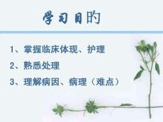 流产恢复与护理全攻略培训课件