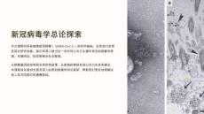 《新冠病毒学总论探索》课件