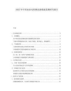 2025年中国表面电阻测试器数据监测研究报告