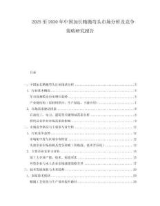 2025至2030年中国加长精抛弯头市场分析及竞争策略研究报告