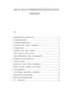 2025至2030年中国渗铝吹氧管市场分析及竞争策略研究报告