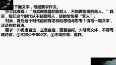 2026届高考语文写作指导：聪明的愚人