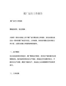 煤厂运行工作报告