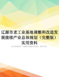 辽源市老工业基地调整和改造发展接续产业总体规划(完整版)实用资料
