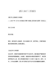 湛江2017工作報(bào)告