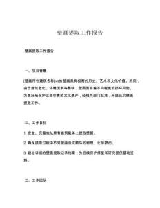 壁畫提取工作報告