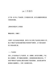 pm工作报告