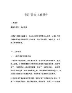 布雷 警长 工作报告