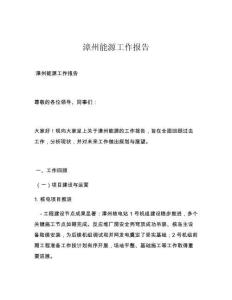 漳州能源工作報告