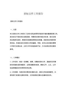 招标文件工作报告