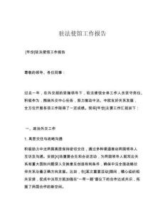 驻法使馆工作报告