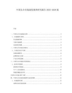 中国头巾市场深度调查研究报告2025-2028版