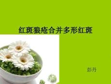 红斑狼疮和多形红斑培训课件