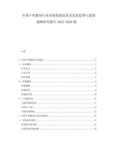 中国干性擦布行业市场发展前景及发展趋势与投资战略研究报告2025-2028版