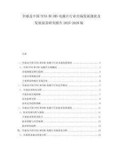 全球及中国TENS和EMS电极片行业市场发展现状及发展前景研究报告2025-2028版