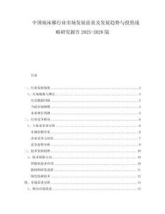 中国病床梯行业市场发展前景及发展趋势与投资战略研究报告2025-2028版