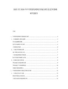 2025至2030年中国雾化喷咀市场分析及竞争策略研究报告