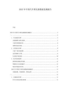 2025年中国汽车增光器数据监测报告