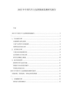 2025年中国汽车大包围数据监测研究报告