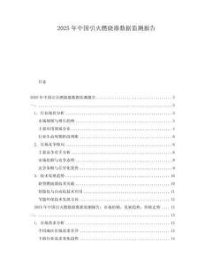 2025年中国引火燃烧器数据监测报告