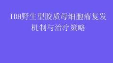 IDH野生型胶质母细胞瘤复发机制与治疗策略2025