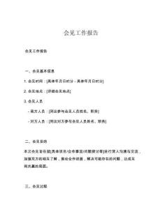 会见工作报告