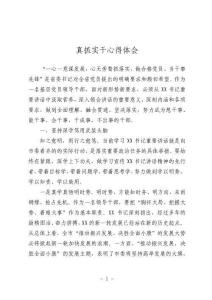 真抓实干心得体会