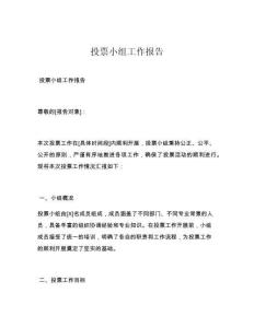 投票小组工作报告