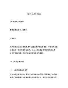 南丹工作报告