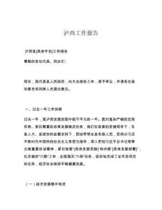 泸西工作报告
