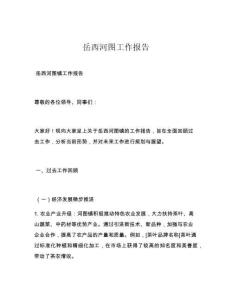 岳西河图工作报告
