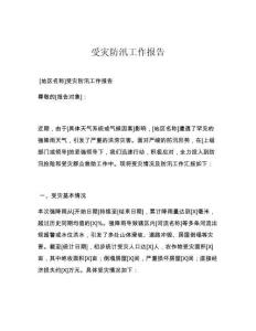 受灾防汛工作报告