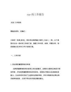 sqe的工作报告