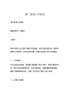 钢厂废钢工作报告