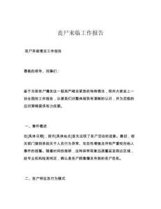 喪尸來(lái)臨工作報(bào)告