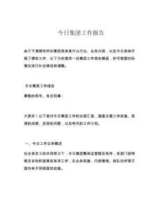 今日集团工作报告
