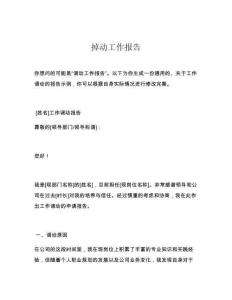 掉动工作报告