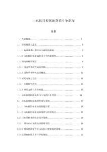 山东抗日根据地货币斗争新探
