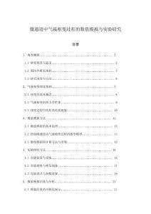 微通道中气液相变过程的数值模拟与实验研究