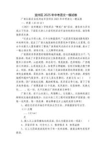 宜州区2025年中考语文一模试卷