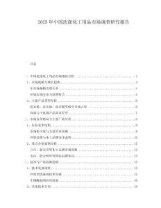 2025年中國洗滌化工用品市場調(diào)查研究報告