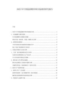 2025年中国旅游帽纱网市场调查研究报告