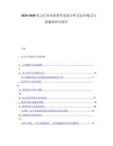 2025-2030电力行业风险投资发展分析及运作模式与投融资研究报告