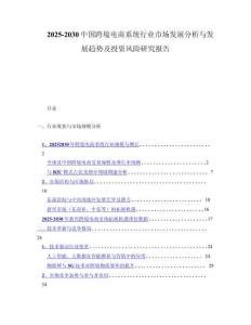 2025-2030中国跨境电商系统行业市场发展分析与发展趋势及投资风险研究报告